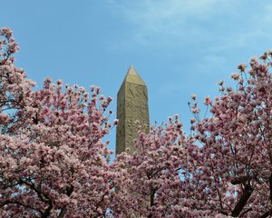 Adel_Souto-Cleopatras_Needle_No_III by Adel Souto