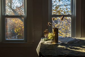 November Afternoon by Andrea Zinn (2026)