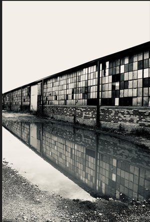 Broken Symmetry by Brittany Buchanan (2025)