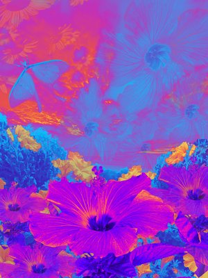 You Belong by Alexis Avery