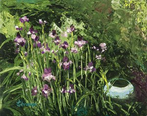 Siberian Irises in Our Garden by Judi Silvano (2024)