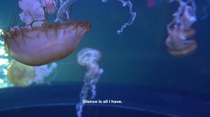 Needless Validation 1 (Video Still) by Michael Hanna (2025)