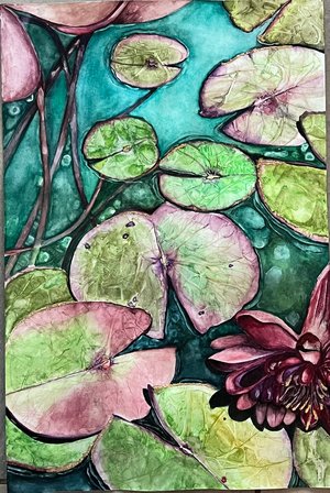 Water Lilies by Barb Manne (2025)
