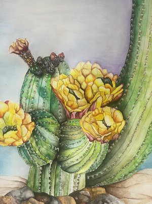 Desert Bloom by Barb Manne (2025)
