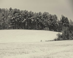 Chambers Lake Snowfall by Ron Saltzman