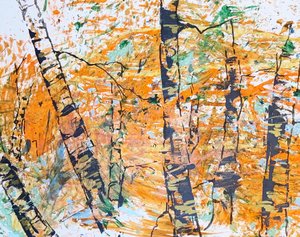 Birch Vista by janet lapelusa (2024)
