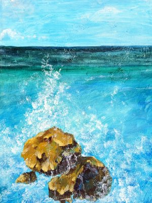 Ocean Spray on A Sunny Day by janet lapelusa (2024)