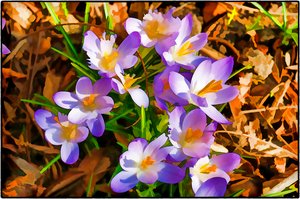 Promise of Spring by Tom Sherry