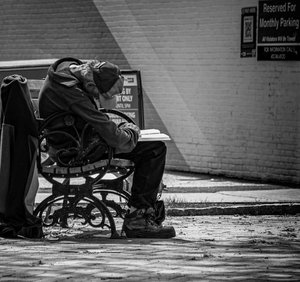 Dozing by Mary Jeanne Tash