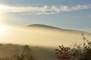 Looking East by Rose Grant (2024)