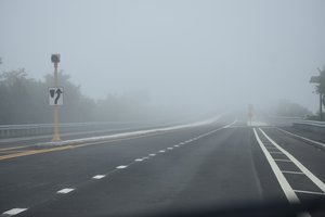 Foggy Westport by Rose Grant (2020)