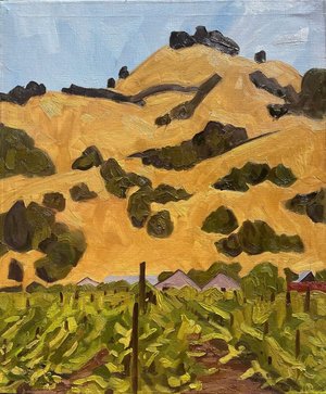 Vineyard in Sonoma by Lorin Santaloci (2025)