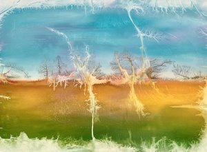 Chris Mills