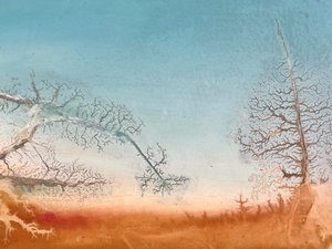 Ghost Forests Are Often Found In Tidal Areas by Chris Mills (2025)