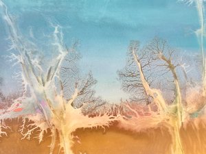 Ghost Forests Are Often Found In Tidal Areas by Chris Mills (2025)