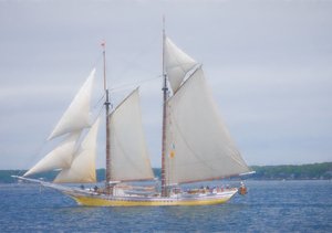 Majesty on the Seas by Carol Kurwelnz
