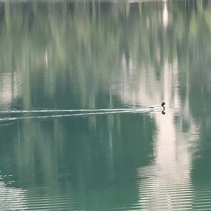 Marilyn_Saks-McMillion_Lake Dobbiaco, Italian Dolomites by Marilyn Saks-McMillion