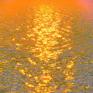Marilyn_Saks-McMillion_Blazing by Marilyn Saks-McMillion
