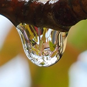 Marilyn_Saks-McMillion_Varenna Raindrop by Marilyn Saks-McMillion