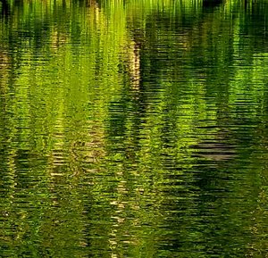 Marilyn_Saks-McMillion_Serene Green by Marilyn Saks-McMillion
