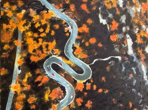 Where the Road Softens the Wild by Susan Walker