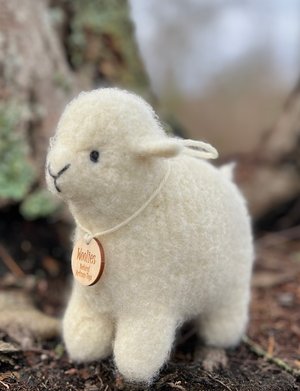 Sheep by Sara Sacks (2026)