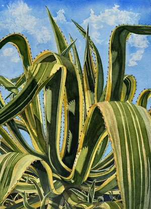 Holly Branch — portfolio