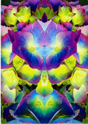 Alberta Walker — portfolio