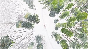 Ski North Ultra by Allie Rykken