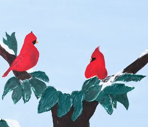 Anita Rachel — portfolio