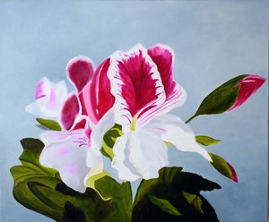 Petals of Passion by Anita Rachel (2025)