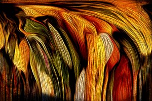  Autumn Blaze by Ben De Marco (2017)