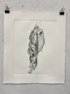 Crappies, Walleye and Perch by Marin Westrum (2025)