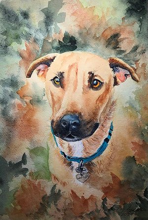 Portrait of Waffles by Linda Greiner (2024)