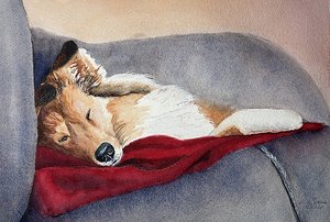 Portrait of Gordy  by Linda Greiner (2026)