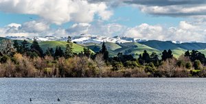 Scott Capen Snow In The East Bay Hills by Scott Capen