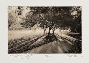 Morning Light by Pat Barton (2026)