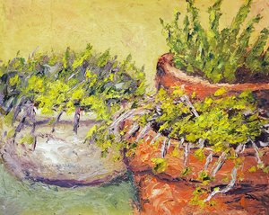 Randy Carboni — portfolio