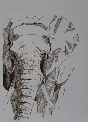 Lines Tell a Story by Laura Asson