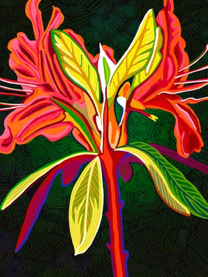 Natural Symmetry by Rod Whyte (2026)
