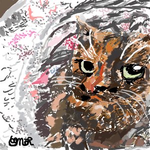 Little Friend by Christine Long (2026)