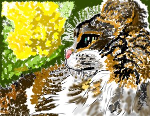 Seer of Nature by Christine Long (2025)