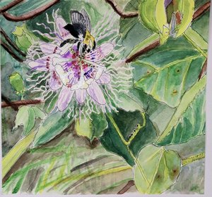 Hutson_Passionflower_12x12x1_4.jpg by Katherine Hutson (2025)