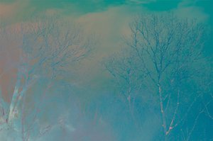 Within the Blue by Audrey Hamilton (2026)