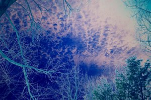 Evening Sky by Audrey Hamilton (2026)