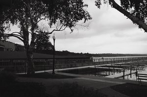 Light Over The Lake by Audrey Hamilton (2026)