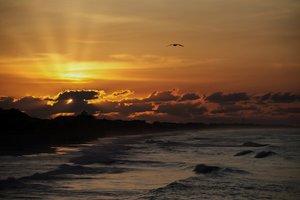 Atlantic Morning by Steve Mabry