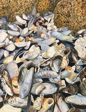 Shell Beach by Nancy Fint