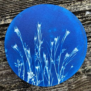 Wildflowers I by Elspeth Putnam (2024)