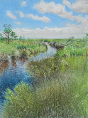 Salt Marsh Estuary - OBX by Art Boehm (2026)